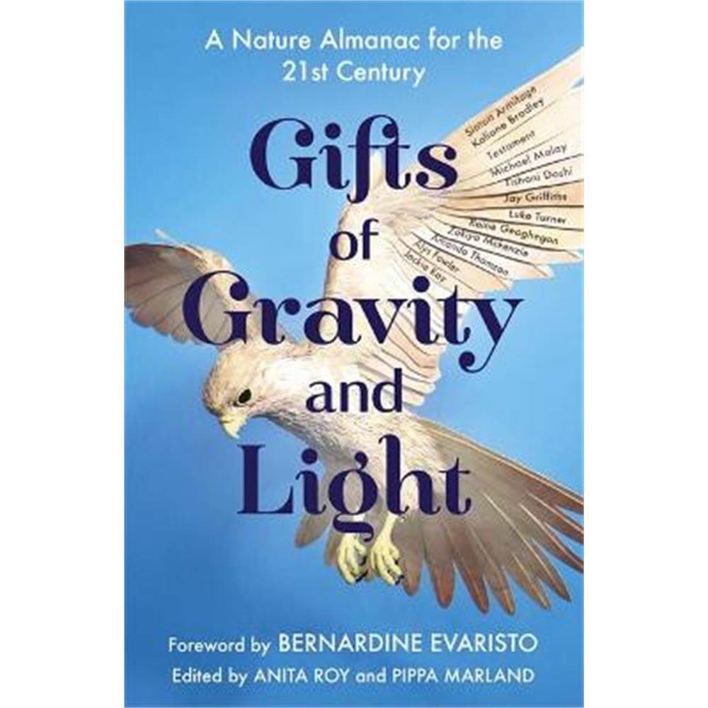 Gifts of Gravity and Light (Hardback) - Anita Roy